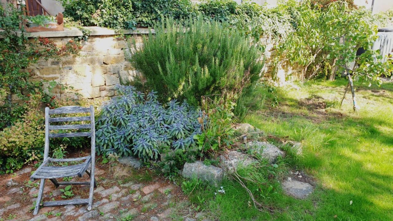 Villa The Old Bank Beautiful Cotswold House With Huge Garden Mickleton  Esterno foto