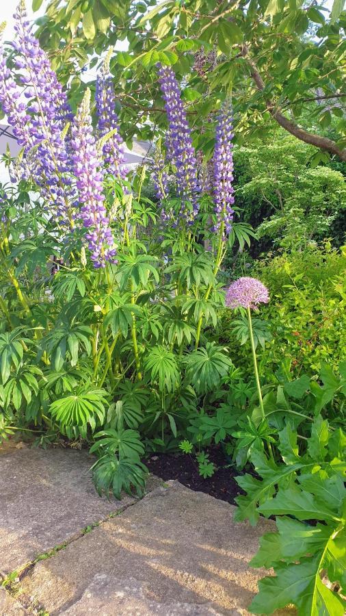 Villa The Old Bank Beautiful Cotswold House With Huge Garden Mickleton  Esterno foto